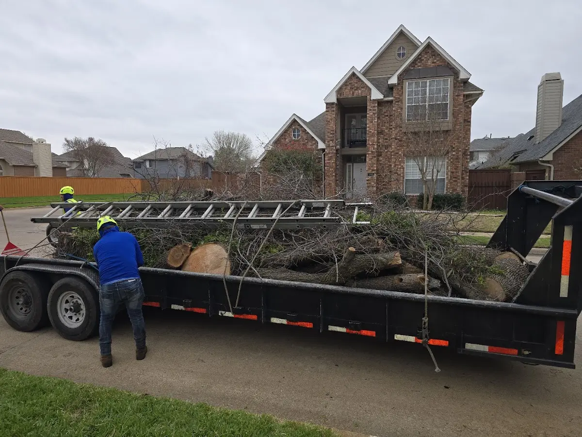 Expert Lot Clearing with proper safety equipment in Overton